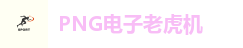 PNG电子老虎机